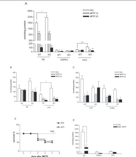 Figure 4 Effect of genetic deletion and pharmacological antagonists of P2Xdoses indicated in the legend (4 × 10-20 mg/kg i