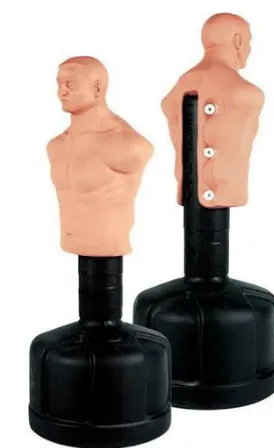 Figure (1) Image of BOB - Century Martial Arts