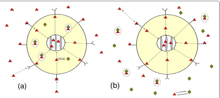 Figure 1 The schematic diagram of receptor-toxin-antibody system: (a) - Scenario I and(b) - Scenario II