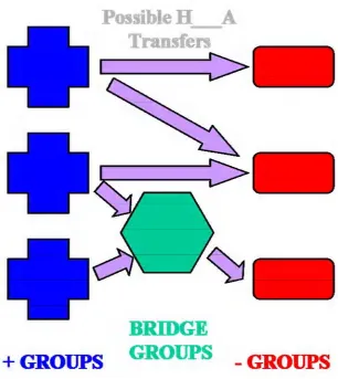 Figure 3-2  Schematic illustrating the movement and assignment of protons.  Arrows denote possible polar hydrogen  “+ Groups”: functional groups that are positively charged, i.e