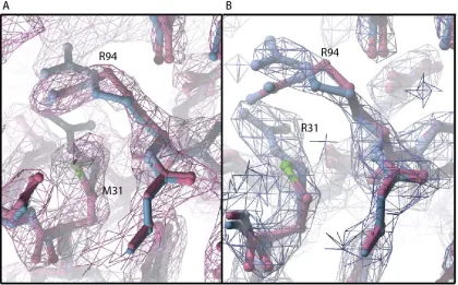 Figure S5.  Substitution of M31 with Arg leads to repositioning of the R94 sidechain. 