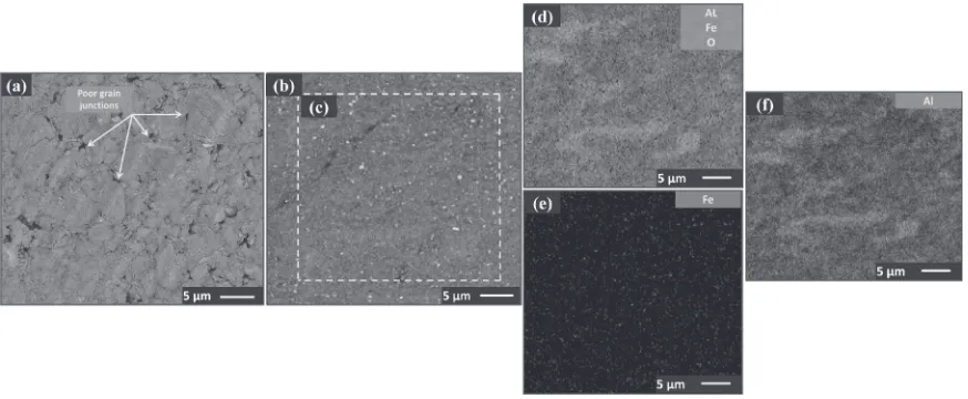 Fig. 2Microstructures of the surface of the Al-5 mass%Al13Fe4 nanocomposite specimen (a) hot pressed, (b) as-extruded with ratio of9 : 1, (c) selected area for EDX mapping, (d) combined EDX elemental map Al, Fe, O, (e) EDX Elemental map of Fe distribution and(f ) EDX elemental map of Al distribution.