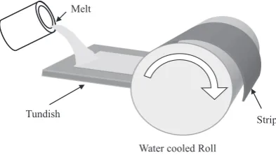 Fig. 1　Schematic view of the strip-casting process.