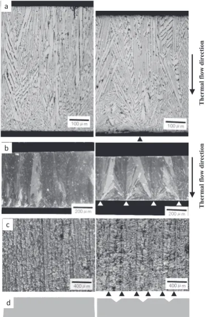 Fig. 2　Surface roughness of copper rolls (a) N1 and (b) N2.