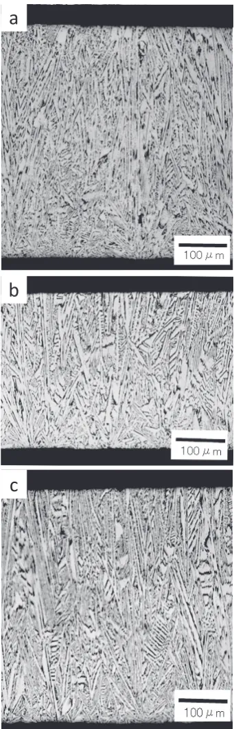Fig. 11　Grain structure of samples obtained using rolls (a) T1, (b) T2, and (c) T3.
