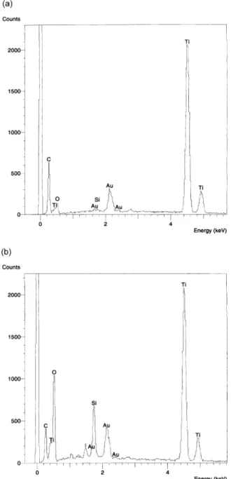 Fig. 6. EDS X-ray spectra from (a) large crystallite marked as B in Fig. 5(e), (b) bubbles marked as A in Fig