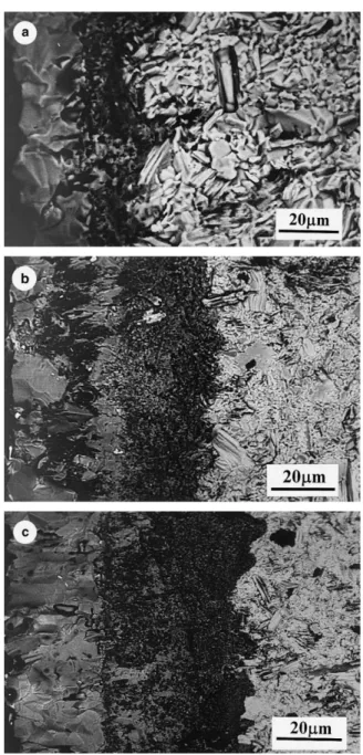 Fig. 7. Back scattered image of cross-section of the oxide scales after exposure in air at (a) 1000°C, (b) 1100°C, (c) 1200°C, and (d) 1300°C for 20 h.