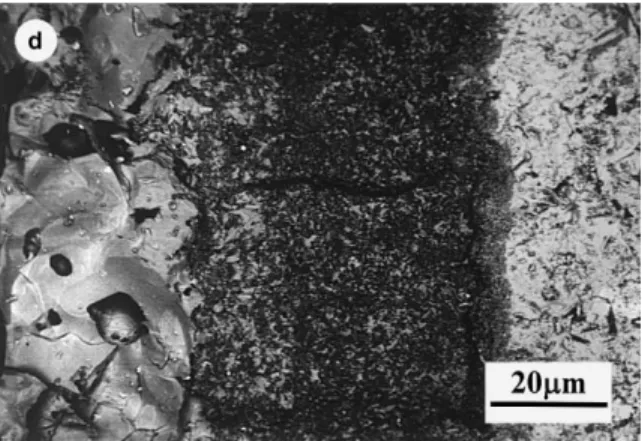 Fig. 8. Typical X-ray dot maps of the oxide cross-section of Ti 3 SiC 2 at 1100°C for 20 h.