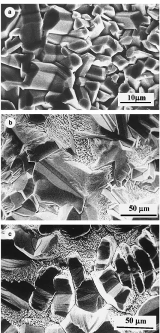 Fig. 5. Surface morphology of oxide scale after Ti 3 SiC 2 samples exposure in air at (a) 1000°C, (b) 1100°C, (c) 1200°C, (d) 1300°C, and (e) at 1100°C showing bubbles enriched in Si on the SiO 2 surface.