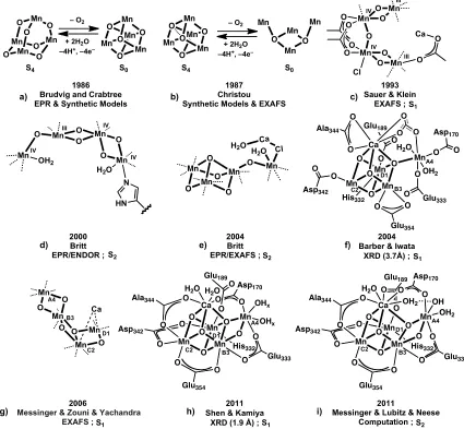 Figure 1.2. Key structural models of the OEC. The research group, year, main spectroscopic 