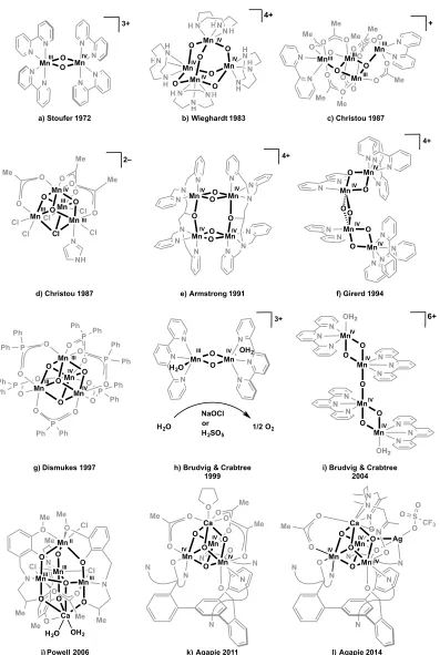 Figure 1.4. Selection of synthetic models relevant to the OEC.  