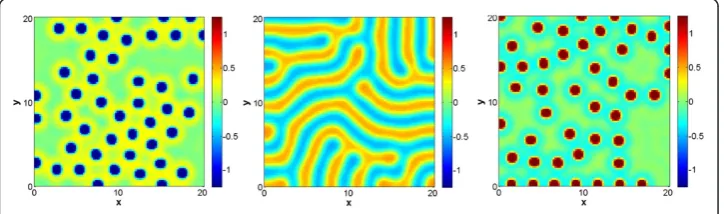 Figure 5 Sample stationary solution of Gierer-Meinhardt system with two morphogens in twoq = 0 and r = 1, and (right) spots with q = 2 and r = 4.5