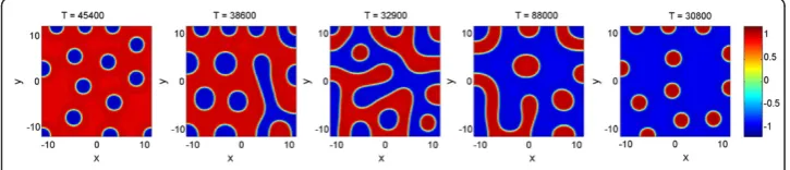 Figure 6 Associated Fokker-Planck solutions of Fitzhugh-Nagumo system with two morphogens insimulation parameterssolved in Comsol, until steady state (total time T = 1000) with a time step of 0.01, and zero-flux boundaryconditions