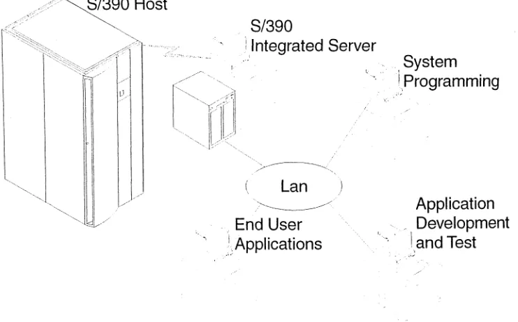 Figure 1. S/390 Integrated Server as a Development Workbench 