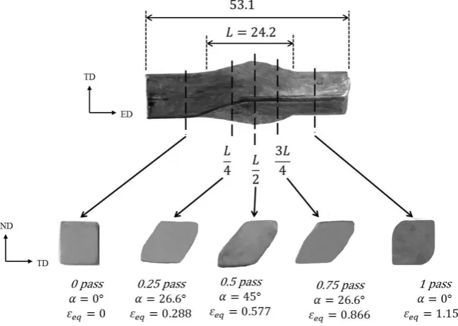 Fig. 2　A pure copper sample during SSE process and the investigated surfaces.