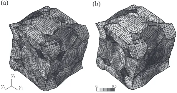 Fig. 13　Distribution of the nominal vector component of the {111} slip plane. (a) Y1-component, (b) Y2-component.