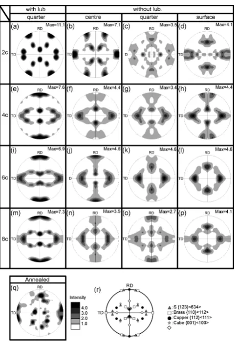 Fig. 6　{111} pole fgures of ARB processed 4N-Cu: (a)–(d) are ARB 2c, (e)–(h) are ARB 4c, (i)–(l) are ARB 6c, and (m)–(p) are ARB 8c, respec-tively
