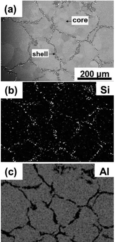 Fig. 4　Phase distribution in the sintered Al-5 mass% Si harmonic struc-tured compact (a) BSE image (b) and (c) are EDS analysis results show-ing the distribution of Si and Al elements respectively.