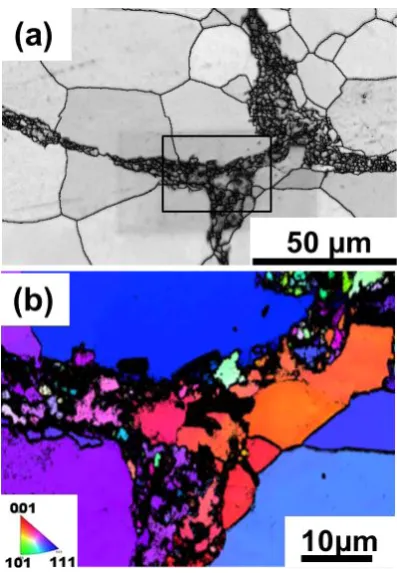 Fig. 6　Microstructure on the “shell” region for harmonic structured com-pact (a) EBSD band contrast map overlaid with grain boundary map (b) Inverse pole fgure of the enlargement in the shell region.