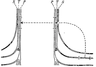 Table 3. The effect of tube tize on fibre maturation