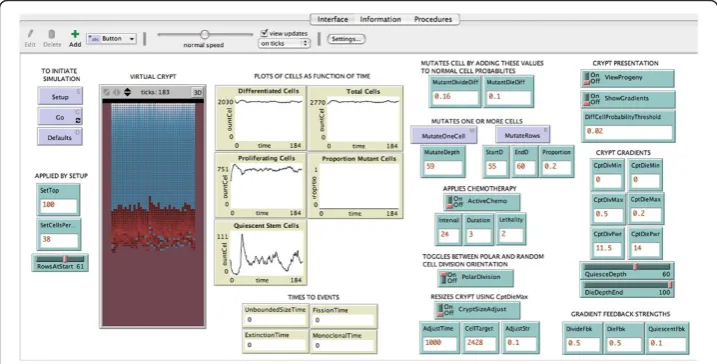 Figure 2 Interface of the virtual crypt model implemented in the application NetLogo. The cryptcells appear in the vertical rectangle at the left, proliferating cells in red, and non-proliferating cells in blue.Blue boxes initiate events