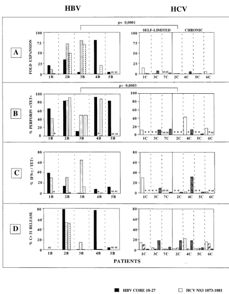 FIG. 5. (A) Capacity for expansion after 10 days of peptide stimulation of HBV and HCV tetramer-positive cells