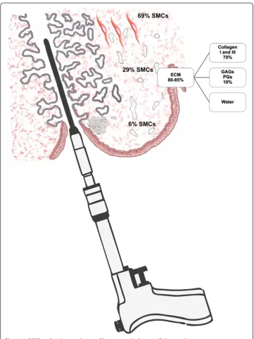 Figure 1 CCBD and main constituens of human cervical extracellular matrix.