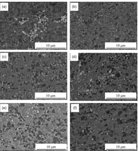 Fig. 2　SEM images of polished surfaces of cermets sintered at (a) 1000, (b) 1050, (c) 1100, (d) 1150, (e) 1200 and (f) 1250°C.