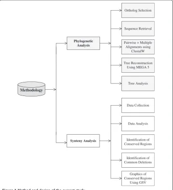 Figure 1 Method and design of the current study.