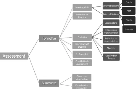 Figure 4. Summary of the different formative and summative assessment tasks during the Assess stage of the PD Framework  