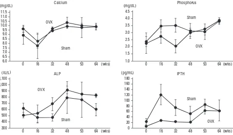 Fig. 3. Changes in serum and urinary levels of bone turnover markers. Data are expressed as means increased and urinary CTX levels did not in both groups {one-way analysis of variance (ANOVA) with repeated measurements, Table 2}
