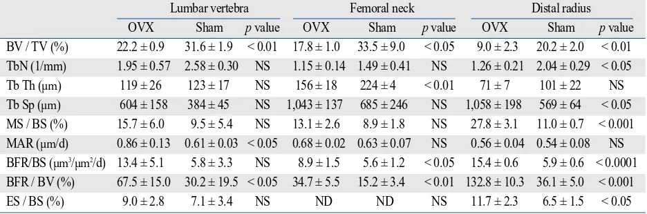 Table 4. Bone Histomorphometric Analysis of Trabecular Bone of the Lumbar Vertebra, Femoral Neck, and Distal Radius