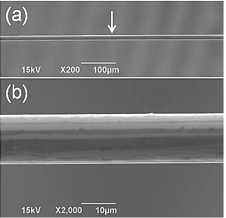 Fig. 7　Secondary dendritic arm spacing (DAS) versus rod diameter of Cu–5Zr alloys produced by VUCC and Cu–4Zr alloys24) produced by CMC.