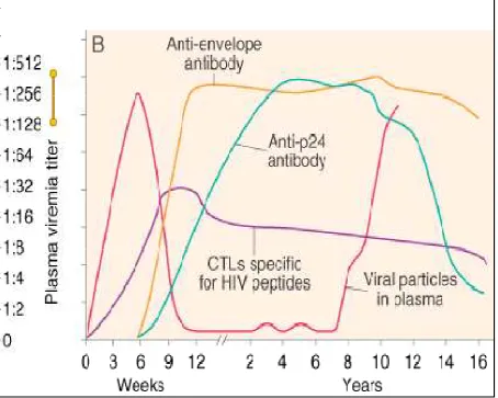 Figure 6 . Immune Response to HIV Infection 