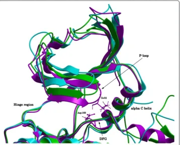 Figure 3 ATP binding site of superimposed models. Color coding: 3FHR-based MK5 model: pink;3M2W-based MK5 model: green; 2OZA-based MK5 model: blue