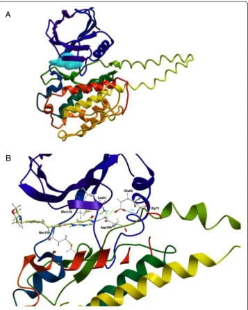 Figure 4 ATP binding site. Adocked in proposed ATP binding site of the MK5 model after 50 ns of MD