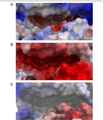 Figure 8 EPS of ATP binding sites. Aof the ATP binding site of the 3FHR MK3 crystal structure.crystal structure
