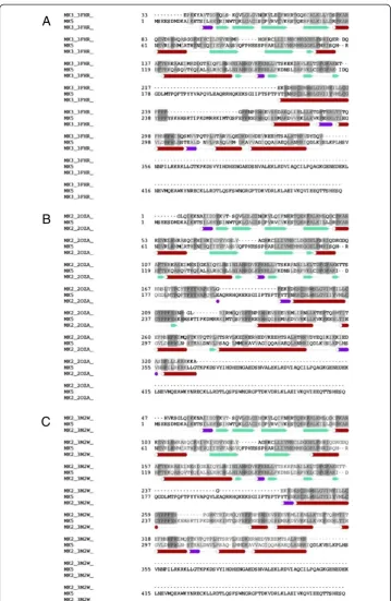Figure 1 Alignments. A: Final alignment used to create homology model of MK5 from MK3 [PDB: 3FHR].See text for further description on how alignment was obtained