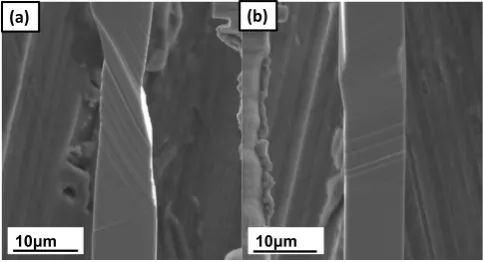 Fig. 6　Magnifed SEM image of side-view of the deformed Cu-Ni-Si alloy micro-specimen: (a) the left side and (b) the right side.