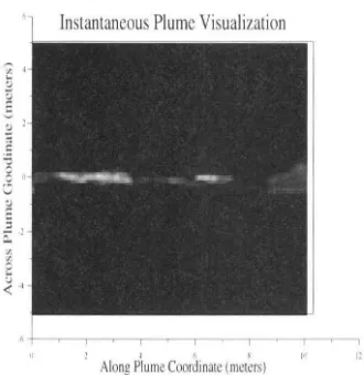Figure 4.7: This is a n example of a plume. T his data is obtai ned by digitizing a plume made up of fluorescing dye and illuminated wit h a planar laser