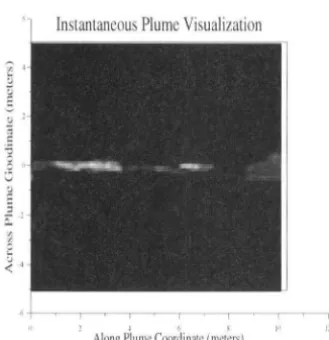 Figure 4.7: This is a n example of a plume. T his data is obtai ned by digitizing a plume made up of fluorescing dye and illuminated wit h a planar laser
