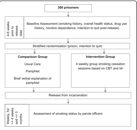 Fig. 1 Overview of study design
