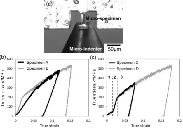 Fig. 4　(a) Optical image of micro-tensile test, and true stress-true strain curves of tensile specimen (b) 〈111〉 oriented, and (c) 〈223〉 oriented with respect to the tensile axis.
