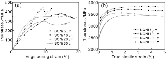 Fig. 10　SEM images of compression specimens. (a), (b) Nanocrystalline specimens before deformation, (c), (d), single crystal specimens before deforma-tion, (e), (f) nanocrystalline specimens after deformation, and (g), (h) single crystal specimens after deformation.