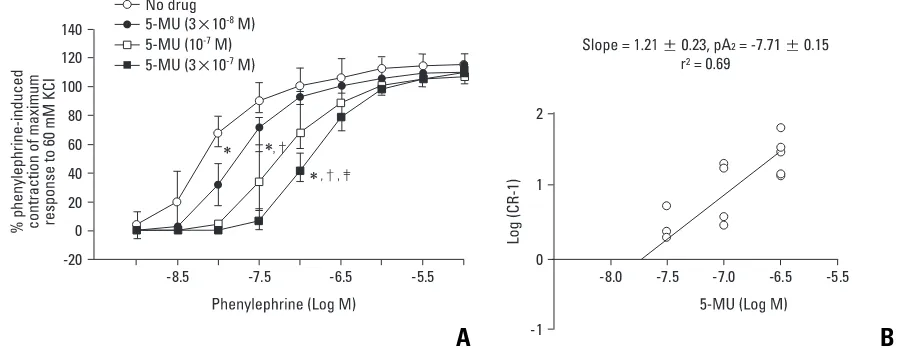 Fig. 1. Effect of fentanyl on the phenylephrine dose-response curve in= 5], 100% = 2.67 treated with fentanyl, the fentanyl [3 response curve