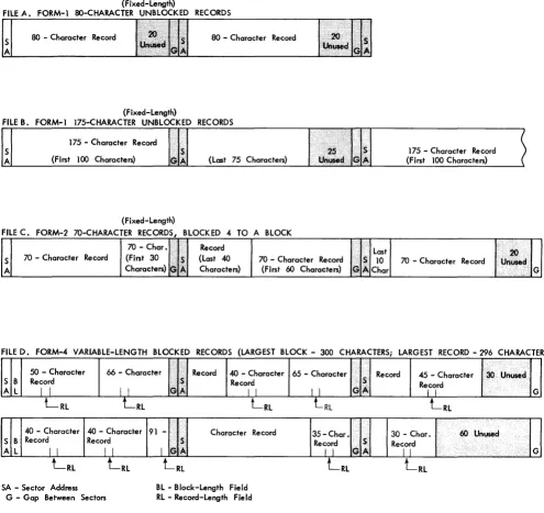 Figure 13. Schematic Records on Disk 