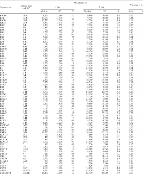 TABLE 5. Abundance of HSV-1 transcripts following high-multiplicity infection of HeLa cells with RP5a