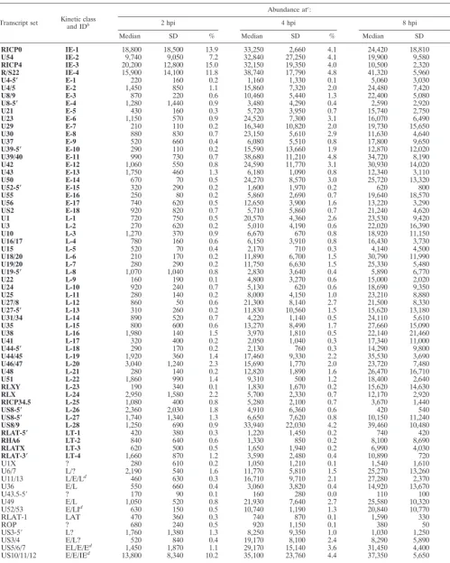 TABLE 1. Abundance of HSV-1 transcripts at various times following infection of HeLa cells with RP5R virusa