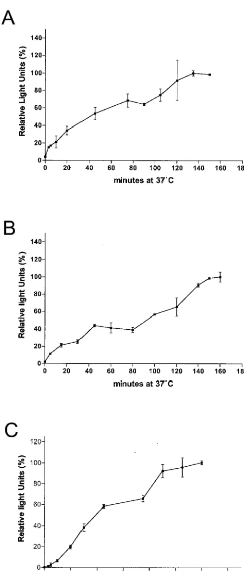 FIG. 3. Entrykineticsshifting the temperature to 37°C. At the indicated time point, cellswere incubated for 2 to 3 h with 50 mM NHALV-B (10 ng of p24) was prebound to HEK 293-TVBU-251–TVBtermined as described above (C)