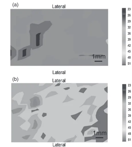 Fig. 7ODFs for n = 1, 3, 5 of ECAP passes and IPFs along ©©NDªªdirection.